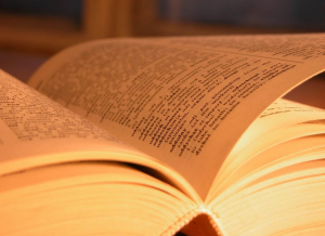 Documentation Indicator nedir?