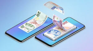 Türkiye’de Elektronik Para Şirketi Kurmak istiyorum. Nasıl Başlamalıyım ?
