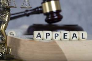 Appeal Nedir? Ödeme Sistemlerinde Ne İfade Eder?
